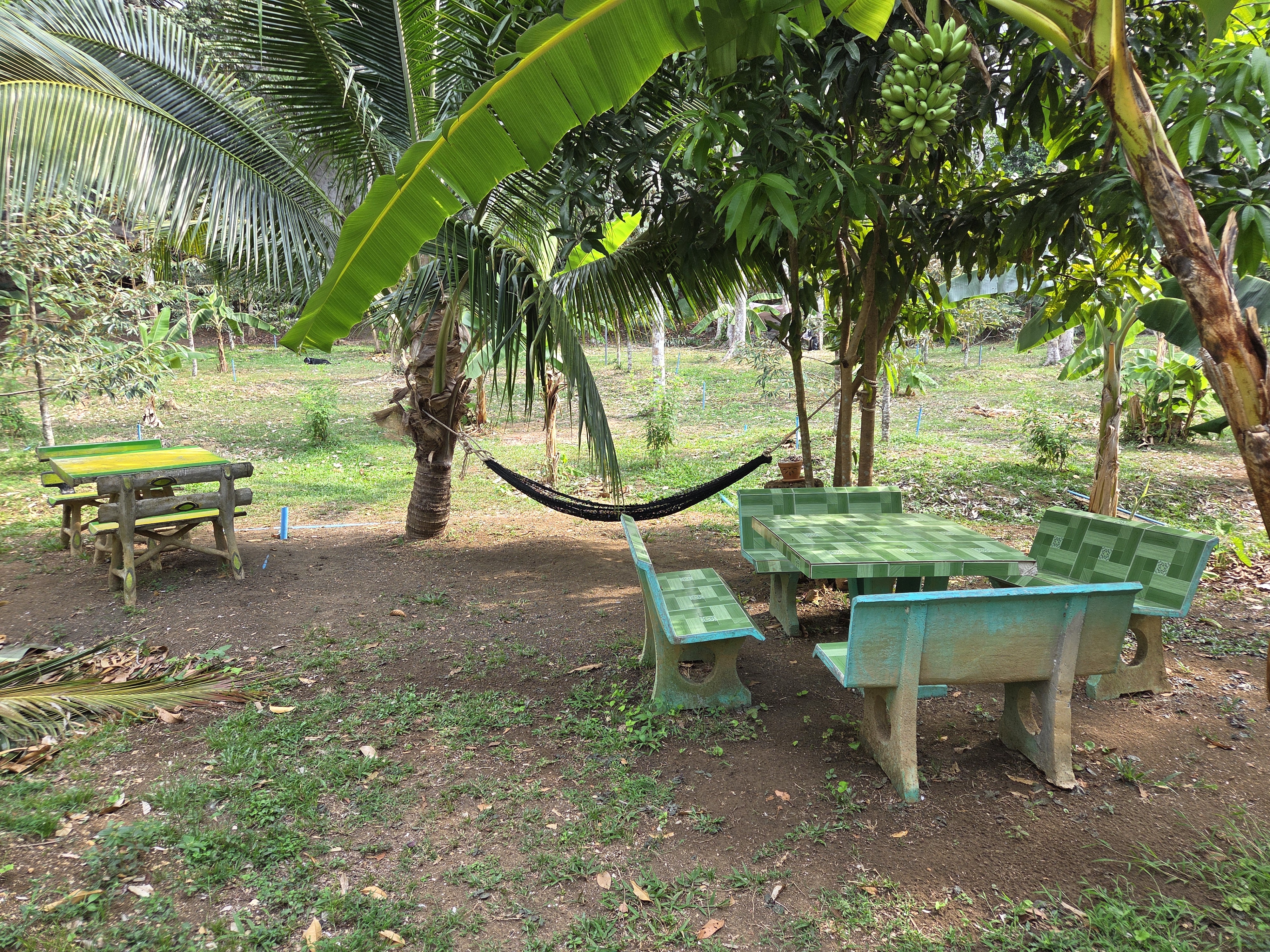 Rest area at North Wall
